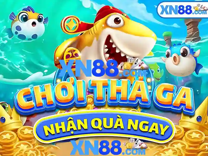 Trải nghiệm người dùng và hỗ trợ