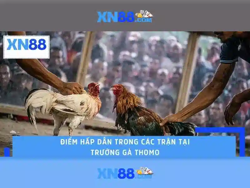 Kinh nghiệm chơi và quản lý vốn