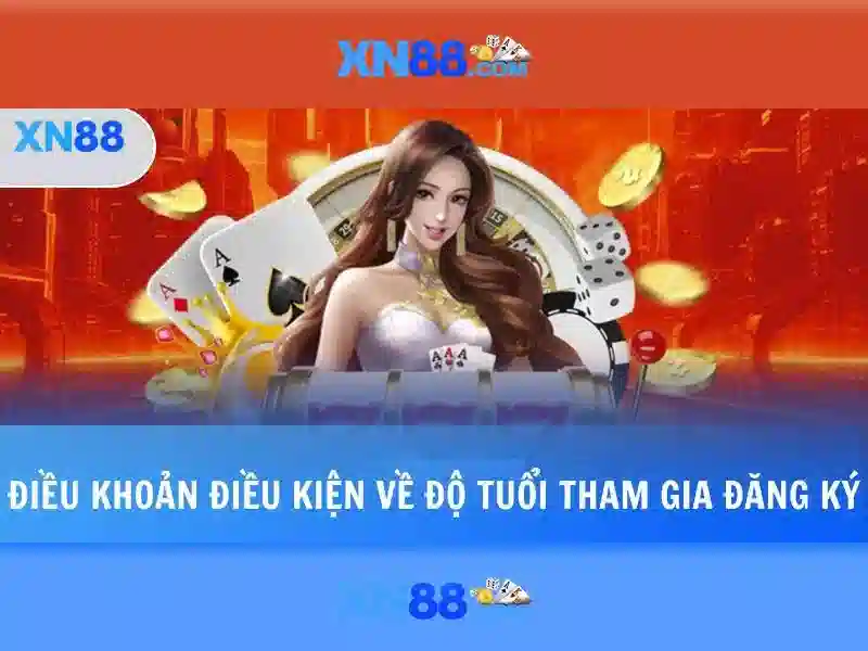 Giao diện người dùng và trải nghiệm