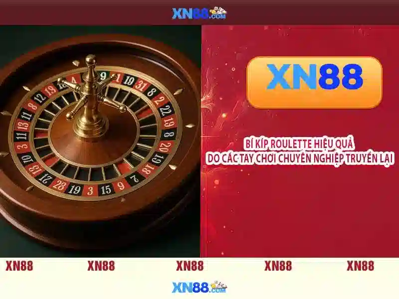 xn88 và hành trình trải nghiệm cá cược trực tuyến