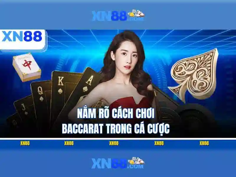 Các tính năng nổi bật