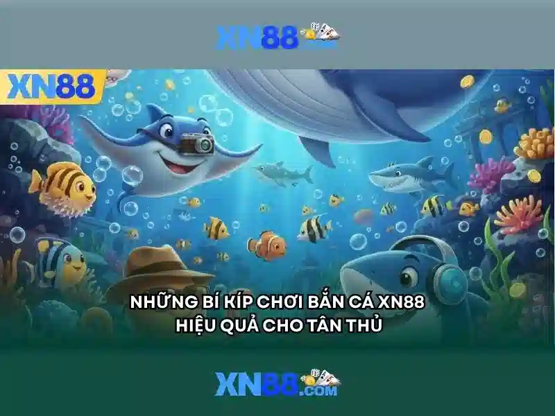 Các tính năng nổi bật của XN88