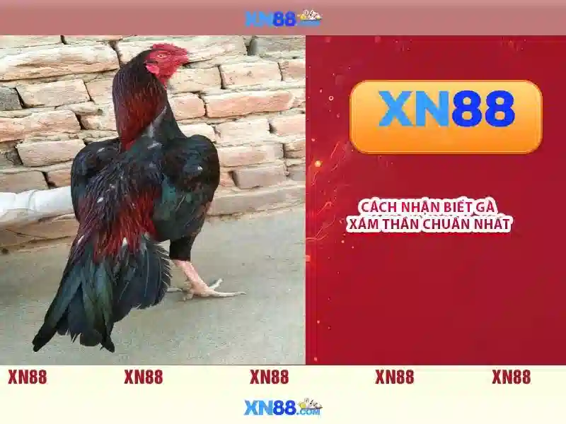 Các sản phẩm và dịch vụ