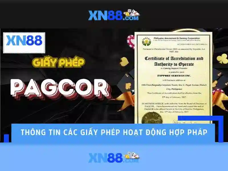Giao diện và trải nghiệm người dùng