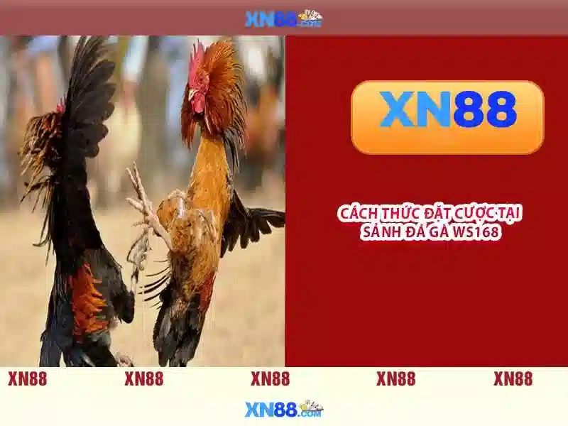 XN88 là gì? Khám phá nền tảng xn88