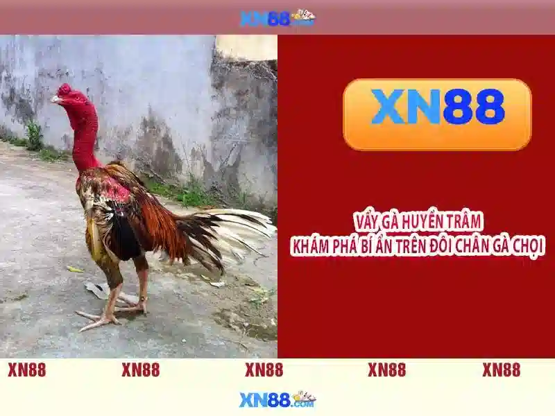 Xn88 là gì và hướng dẫn tổng quan tại Việt Nam