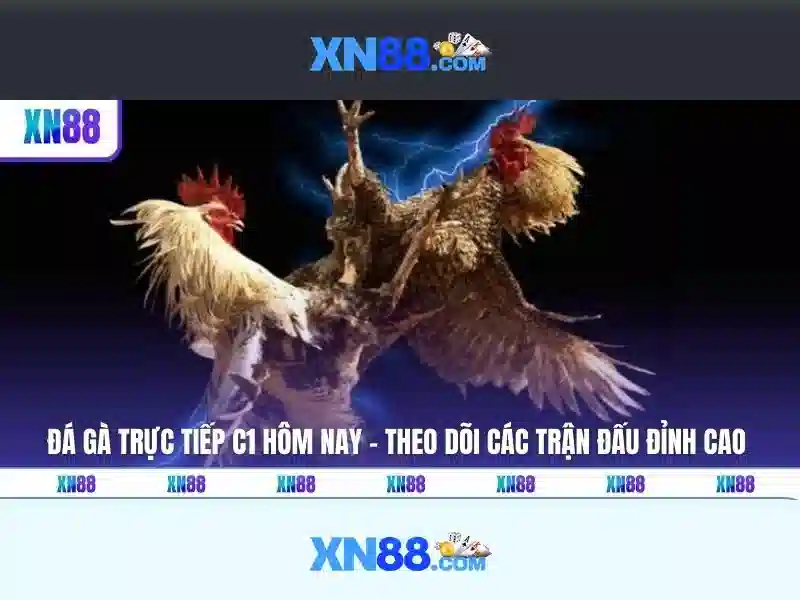Tại sao XN88 được nhiều người tin dùng