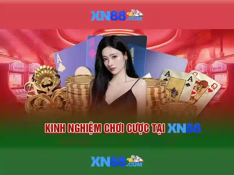 Giới thiệu về xn88