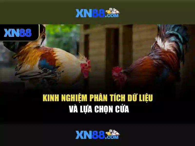 'Kết luận về xn88'