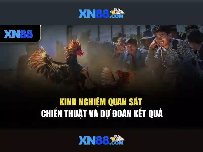 Giao diện người dùng và trải nghiệm di động