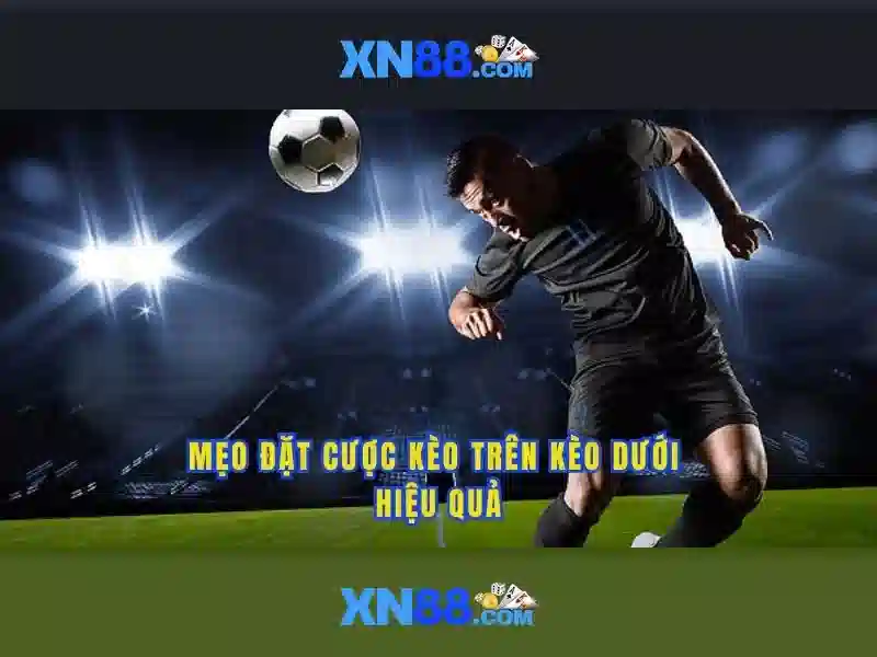 Các tính năng nổi bật của xn88