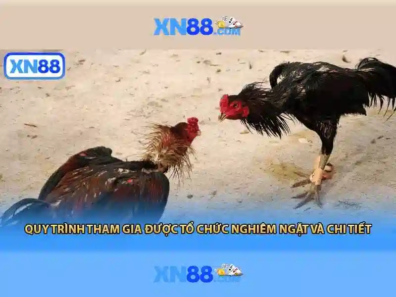 Độ tin cậy và bảo mật cho người chơi