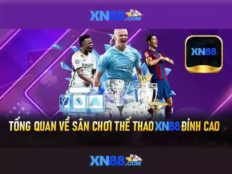 Lịch sử và phạm vi hoạt động