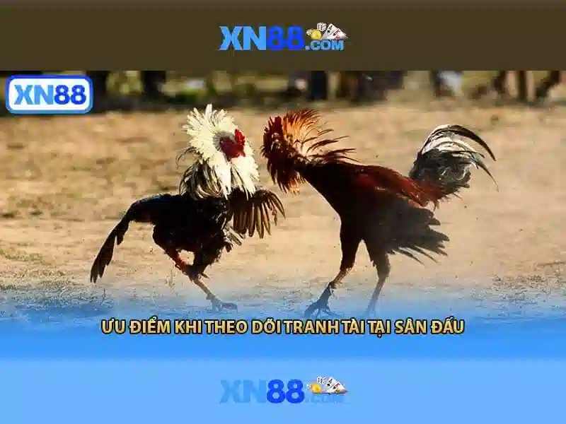 xn88: Kham pha nen tang casino truc tuyen