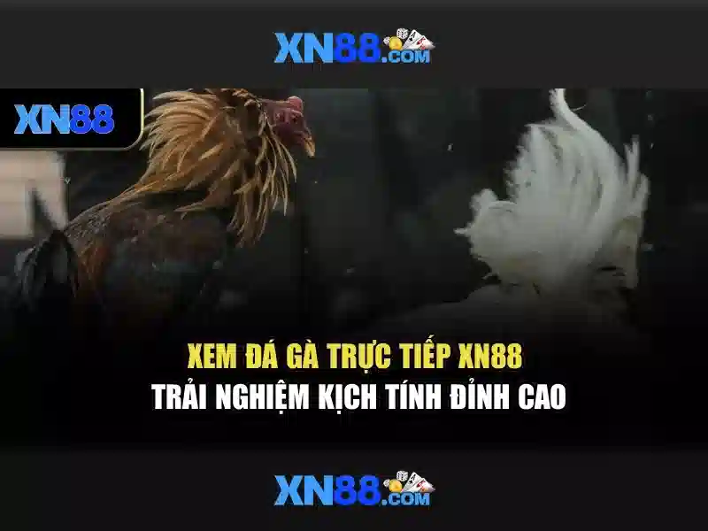 xn88 - Nền tảng trò chơi trực tuyến uy tín tại Việt Nam