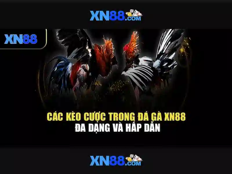 An toàn và bảo mật