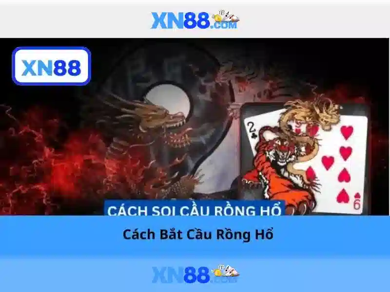 XN88 - Nền tảng giải trí và cá cược trực tuyến