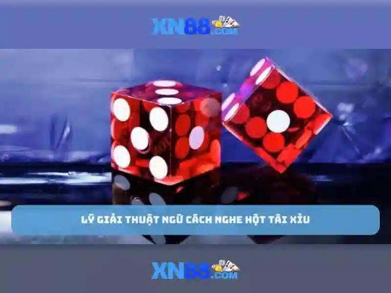 Hỗ trợ khách hàng và trải nghiệm người dùng