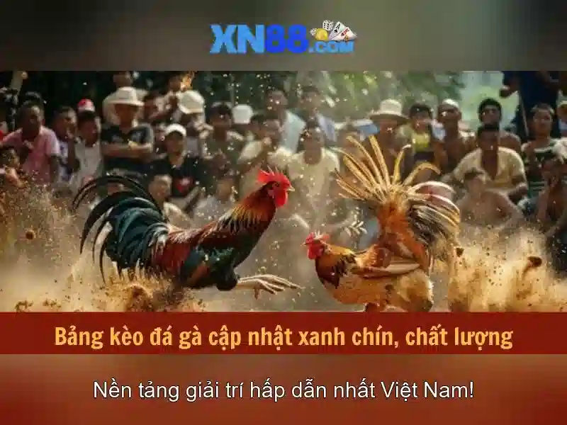 Lịch sử và nguồn gốc