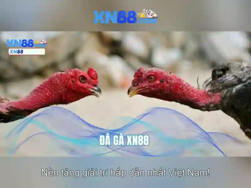 Các sản phẩm nổi bật