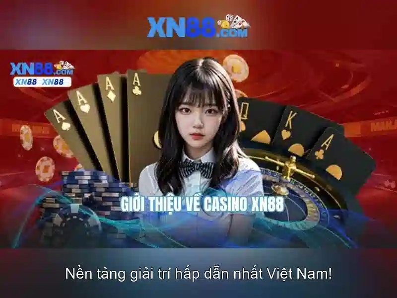 Giới thiệu về xn88