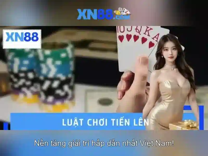 Nền tảng và lĩnh vực hoạt động của xn88