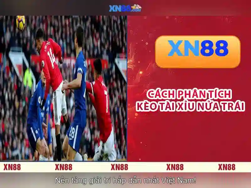 Hướng dẫn tham gia và các lưu ý an toàn