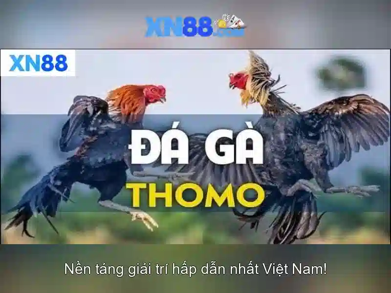 xn88: Tổng quan về nền tảng trò chơi và cược trực tuyến