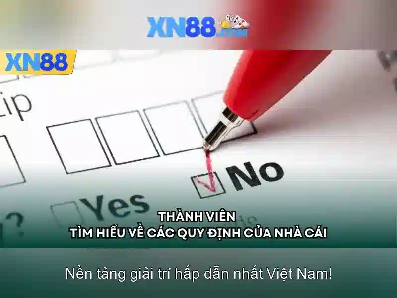 xn88 là gì và tại sao nó nổi bật