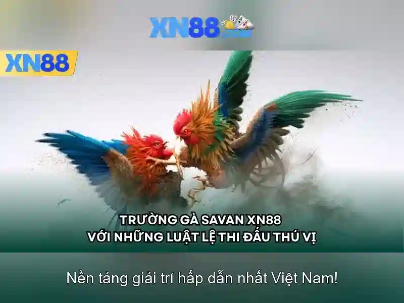 XN88: Nền tảng chơi game trực tuyến an toàn và tiện ích
