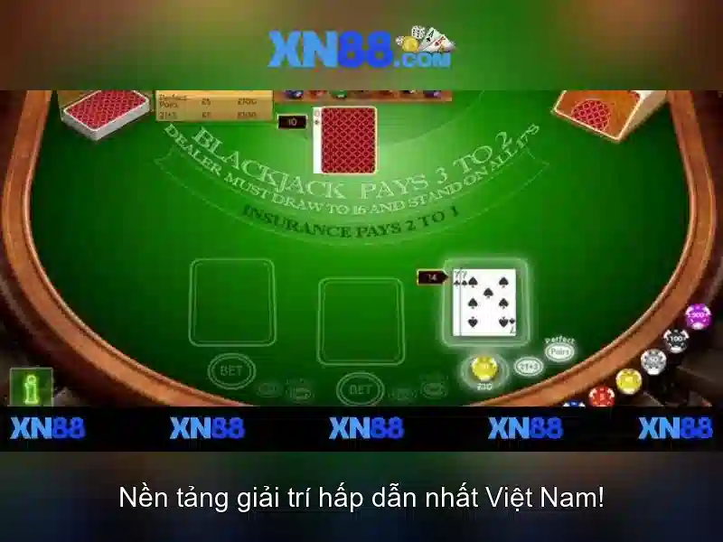 Giao diện người dùng và trải nghiệm