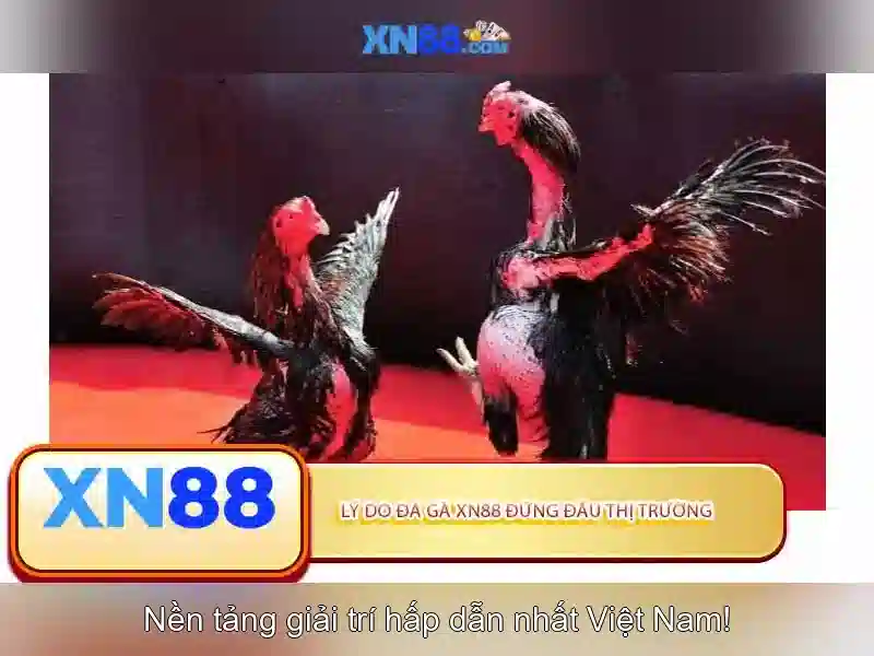 XN88: Tổng quan và trải nghiệm người chơi
