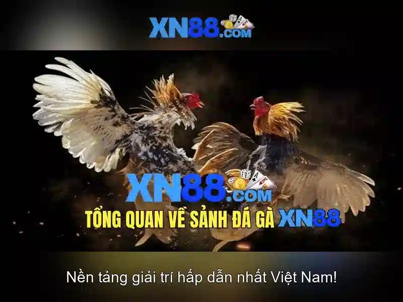 xn88: Đánh giá và hướng dẫn người chơi
