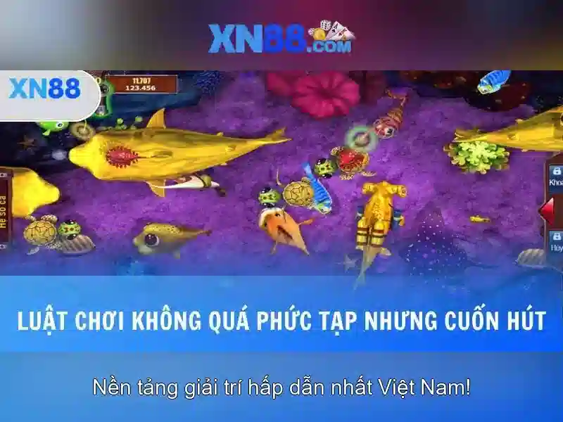 XN88: nền tảng giải trí và cược trực tuyến