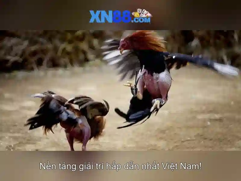 Keo Nha Cai Ty Le > Bet69us Keo Nha Cai Ty Le Ca Cuoc SoundCloud