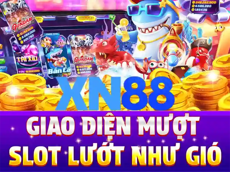 Thông tin cơ bản về xn88