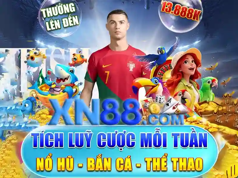 Dịch vụ và trải nghiệm người dùng