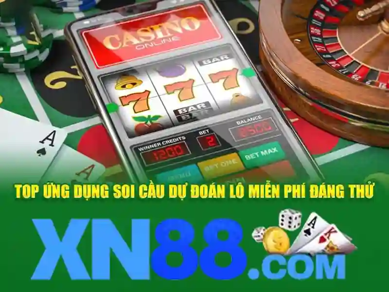An toàn và giấy phép